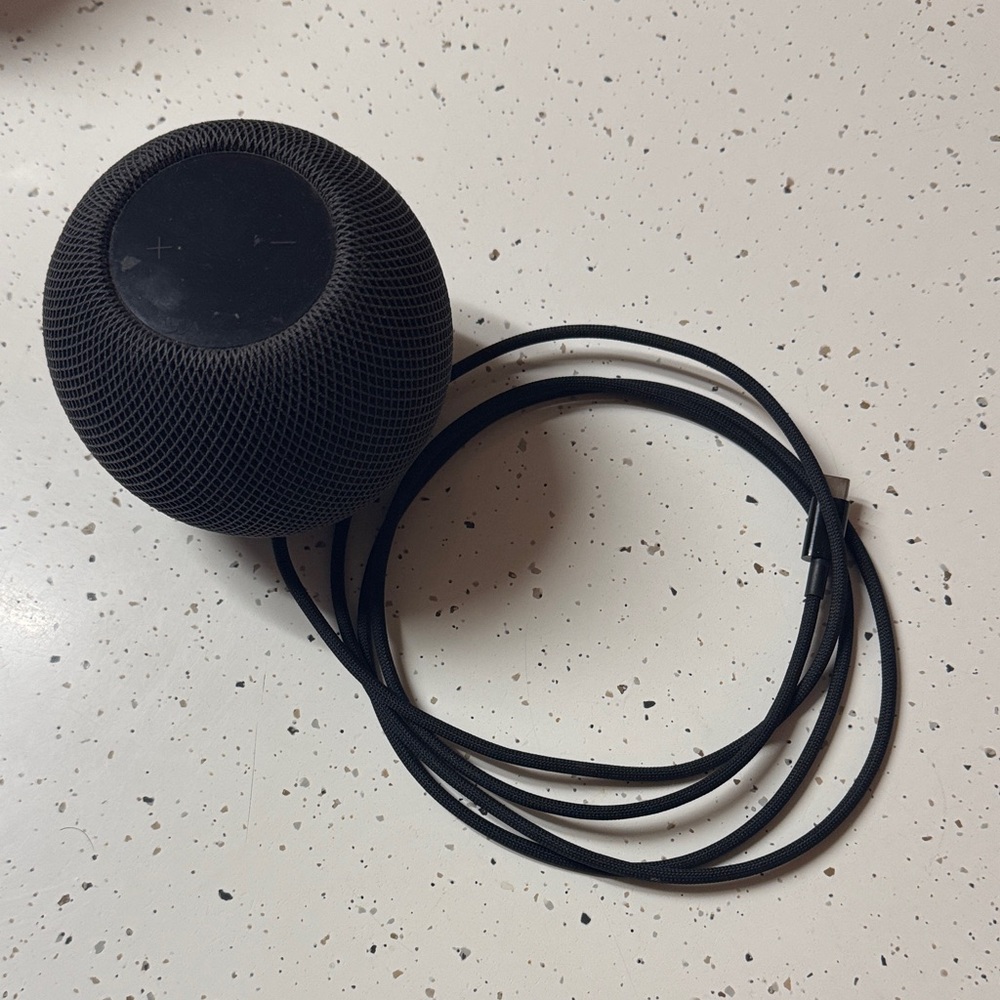 Apple Dark Gray Smart Speaker with Cable
